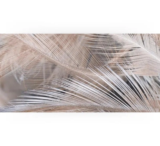 Фаянс “Парадайс“ кафяв 30x60cm_1734822521.png